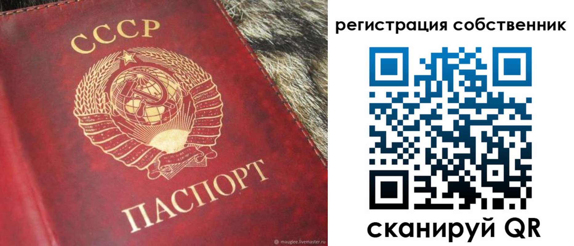 временная регистрация надежно в Асино